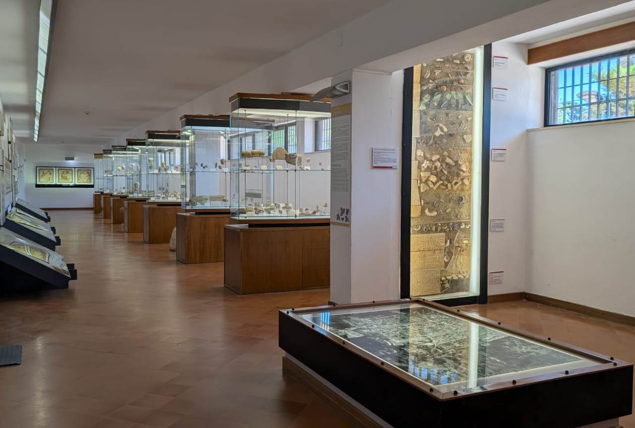 Sala VII